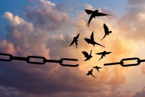 birds breaking free from chains mental health accomodations